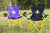 Fleur-de-lis Black Folding Lawn Chair - Lawn Chair