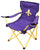 Purple Fleur de Lis Lawn Chair - Lawn Chair
