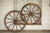 Wagon Wheel - 30 - Wheel