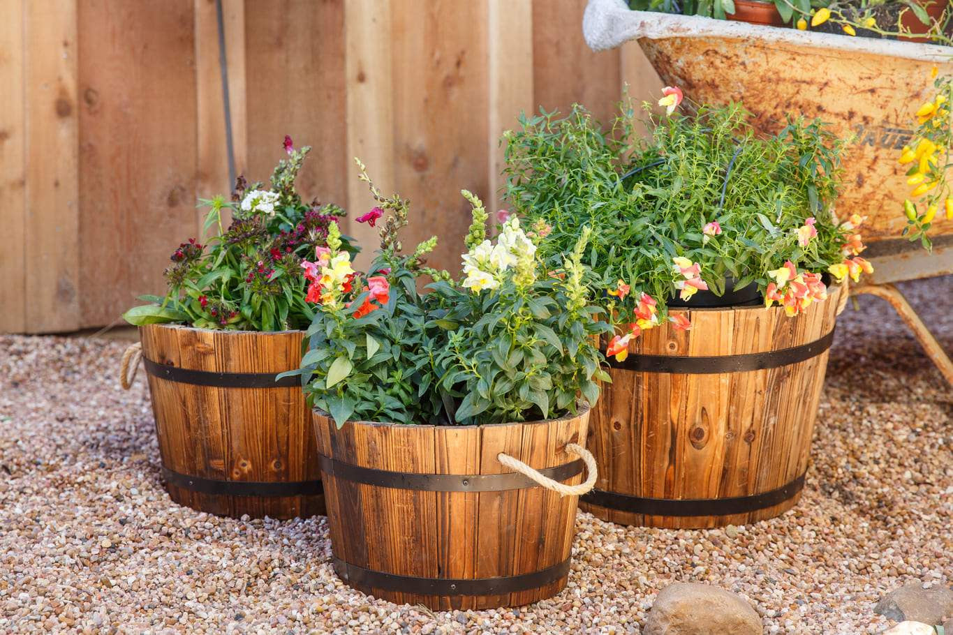 plant pot barrel Leigh Country Half Barrel Bucket Planter Set, TX 93960